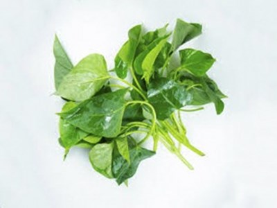 甘薯葉